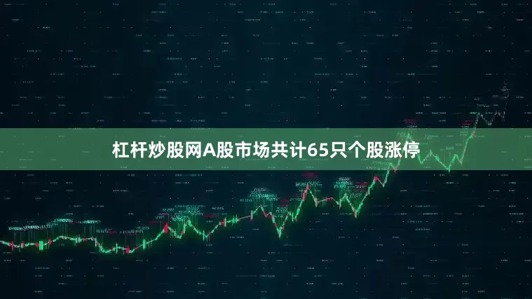 杠杆炒股网A股市场共计65只个股涨停